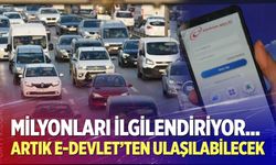 O bilgilere artık e-Devlet'ten ulaşılabilecek