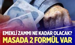 Emekli zammı ne kadar olacak?