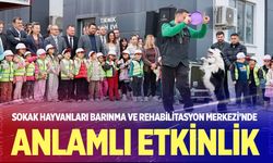 Sokak Hayvanları Barınma Ve Rehabilitasyon Merkezi’nde Anlamlı Etkinlik
