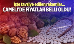 Çameli'de ceviz ve fasulye fiyatları netleşti!