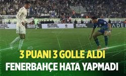 Fenerbahçe Rize'de 3 puanı 3 golle aldı