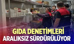 Gıda Denetimleri Aralıksız Sürdürülüyor