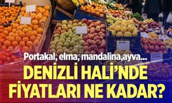 Denizli halinde güncel meyve fiyat listesi! Hangisi kaç liradan satılıyor?