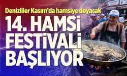 Denizliler Kasım’da hamsiye doyacak