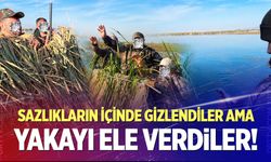 Sazlıkların İçinde Gizlendiler Ama Yakayı Ele Verdiler!