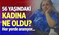 Her yerde aranıyor!