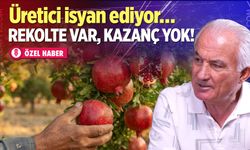 Denizli’de nar üreticisi dertli! Fiyatlar geçen yıla göre...