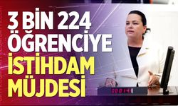 3 Bin 224 Öğrenciye İstihdam Müjdesi