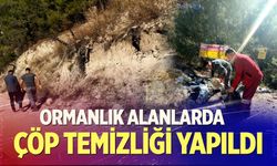 Denizli’de Ormanlık Alanlarda Çöp Temizliği Yapıldı