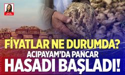Acıpayam’da pancar sezonu açıldı! İşte fiyatı