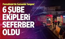 Pamukkale’de Samanlık Yangını! 6 Şube Ekipleri Seferber Oldu