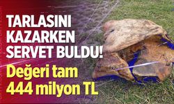 Tarlasını kazarken servet buldu! Değeri tam 444 milyon TL