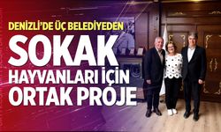 Denizli’de Üç Belediyeden Sokak Hayvanları İçin Ortak Proje