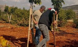 Bekilli’de Tarımın Geleceği İçin Üreticiler Bilgilendirildi
