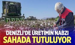Denizli’de Tarımsal Üretim Verileri Sahada Toplanıyor