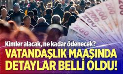 Vatandaşlık maaşında detaylar belli oldu!