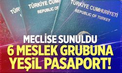 6 meslek grubuna daha yeşil pasaport geliyor