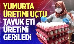 Yumurta Üretimi Uçtu, Tavuk Eti Üretimi Geriledi