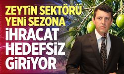 Zeytin Sektörü Yeni Sezona İhracat Hedefsiz Giriyor