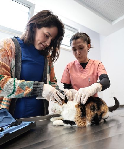 Denizli’de Çevreye ve Bütçeye Nefes Aldıran Projeler