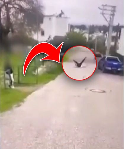 Bayılana kadar dövdü! 15 yaşında akran zorbalığı...