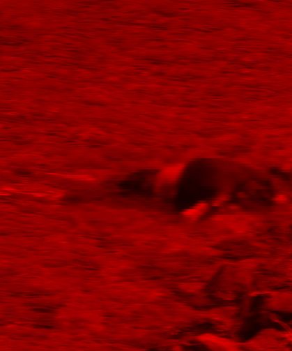 Çanakkale’de karaya vurmuş erkek cesedi bulundu