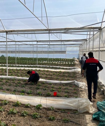 Denizli'de üretim alanlarında yoğun mesai