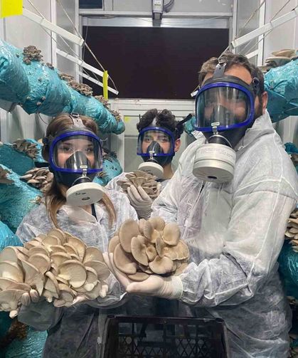 Genç girişimciden dev yatırım: Hedef mantar köyü