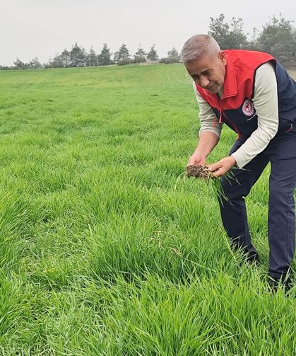 Pamukkale’de tarım alanları mercek altında