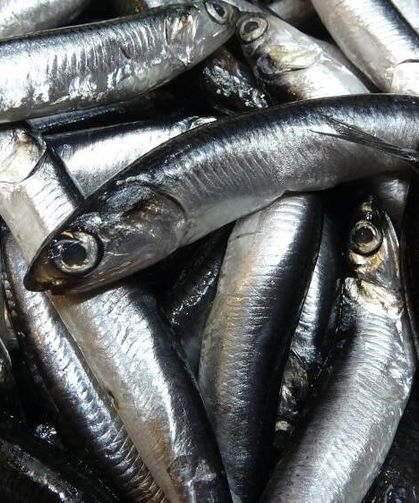 Savaş halindeki ülke ihracatta ilk sırayı aldı