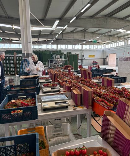 Sarayköy’de pestititle savaş başladı