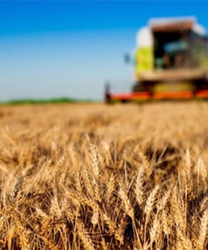 Tavas’ta ata tohumu seferberliği