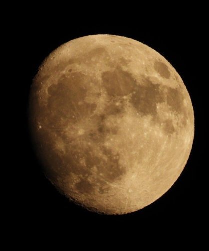 Çinli Bilim İnsanlarından “Yok Artık!” Dedirten Proje