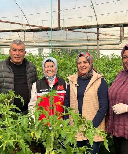 370 bin tonluk rekolte kadınlara emanet!