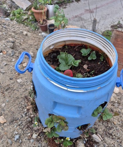 Buldanlı üreticilerden dönüşüm atağı