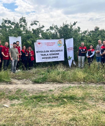 Zararlılarla mücadelede zirai ilaç yerine faydalı böcek