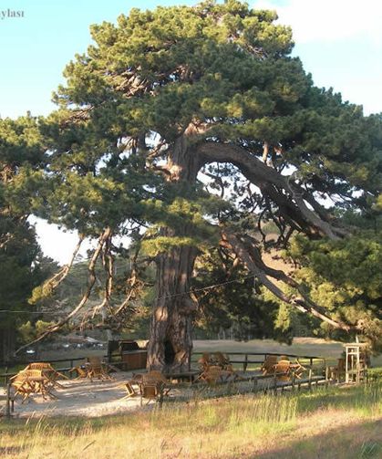 Sandras Ultra Trail için geri sayım başladı