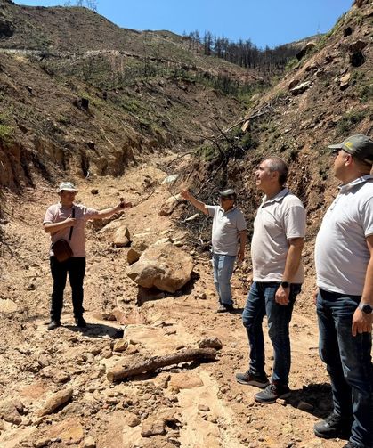 Buldan’da ormanlar için kalıcı çalışmalar başladı