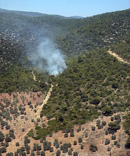 Milas Kazıklı Koyu'nda makilik alanda yangın çıktı