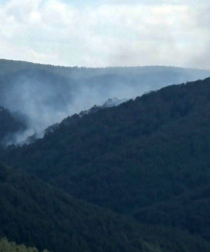 Kütahya’daki orman yangınına müdahale sürüyor