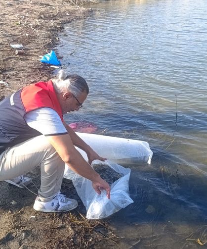 Göletlere 80 bin yavru balık bırakıldı
