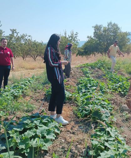 Baklan Ovası’nda hasat telâşı: Kaymakam Yerlikaya üreticilerle buluştu