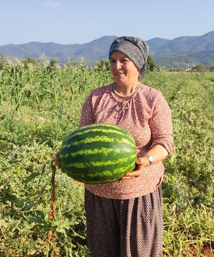 Beyağaç'ta ata tohumundan gelen bereket