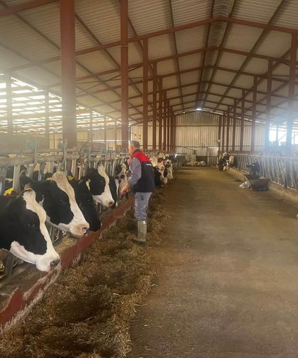 Baklan'da sonbahar dönemi şap aşılamaları başladı