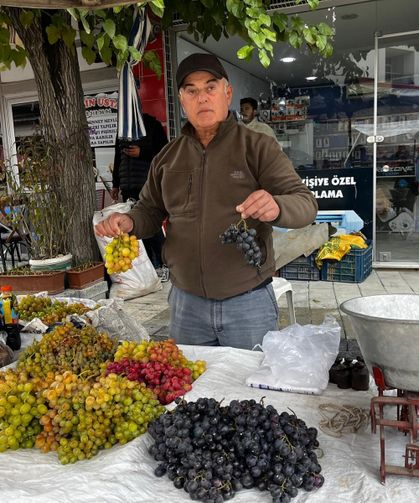 Haydar üzümleri tezgahlarda yerini aldı