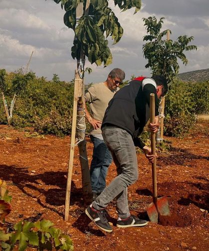 Bekilli’de Tarımın Geleceği İçin Üreticiler Bilgilendirildi