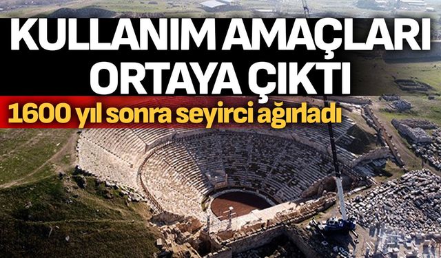 Kullanım amaçları ortaya çıktı