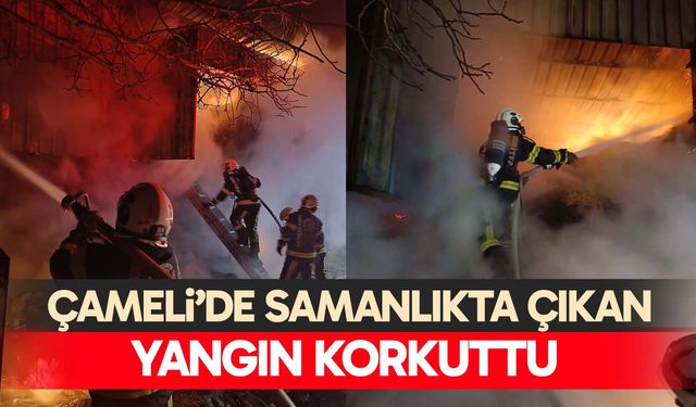 Çameli’de samanlıkta çıkan yangın korkuttu