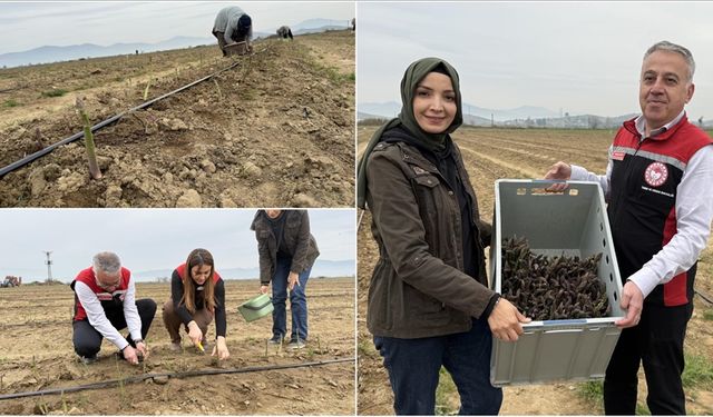 Ürettiği kuşkonmazla yurt dışına açılmayı hedefliyor