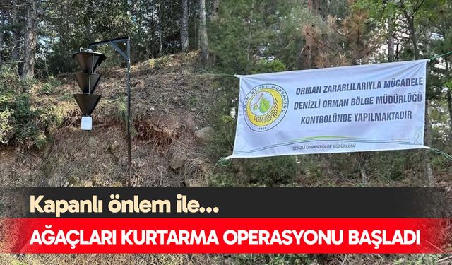Denizli’de ağaçları kurtarma operasyonu başladı